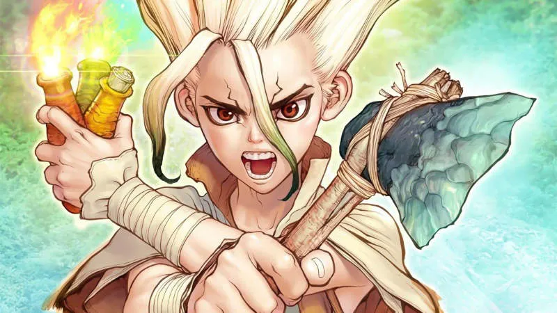 Dr. Stone